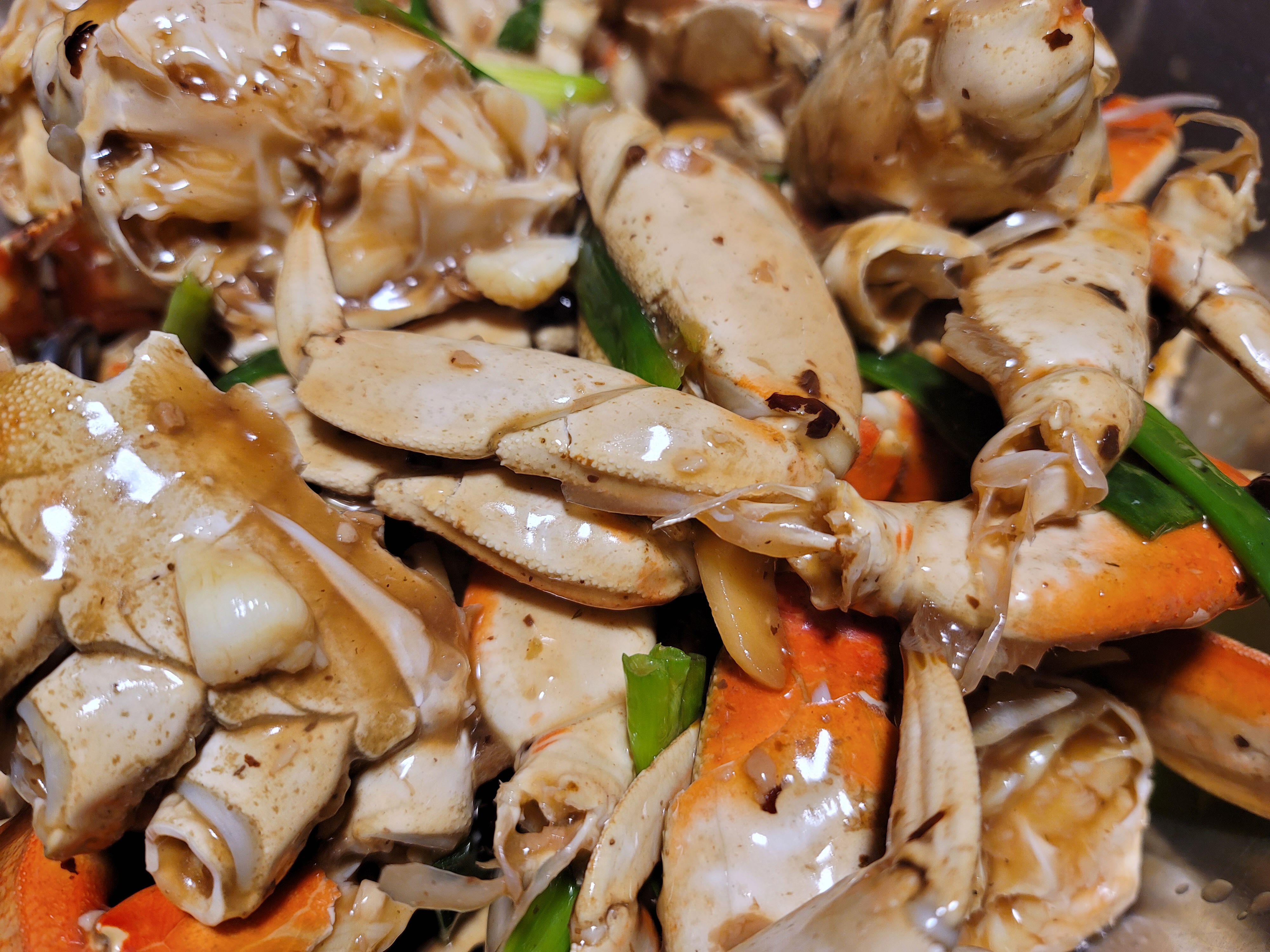 Dungeness Crab